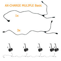 AX-CHARGE MULTIPLE Basic